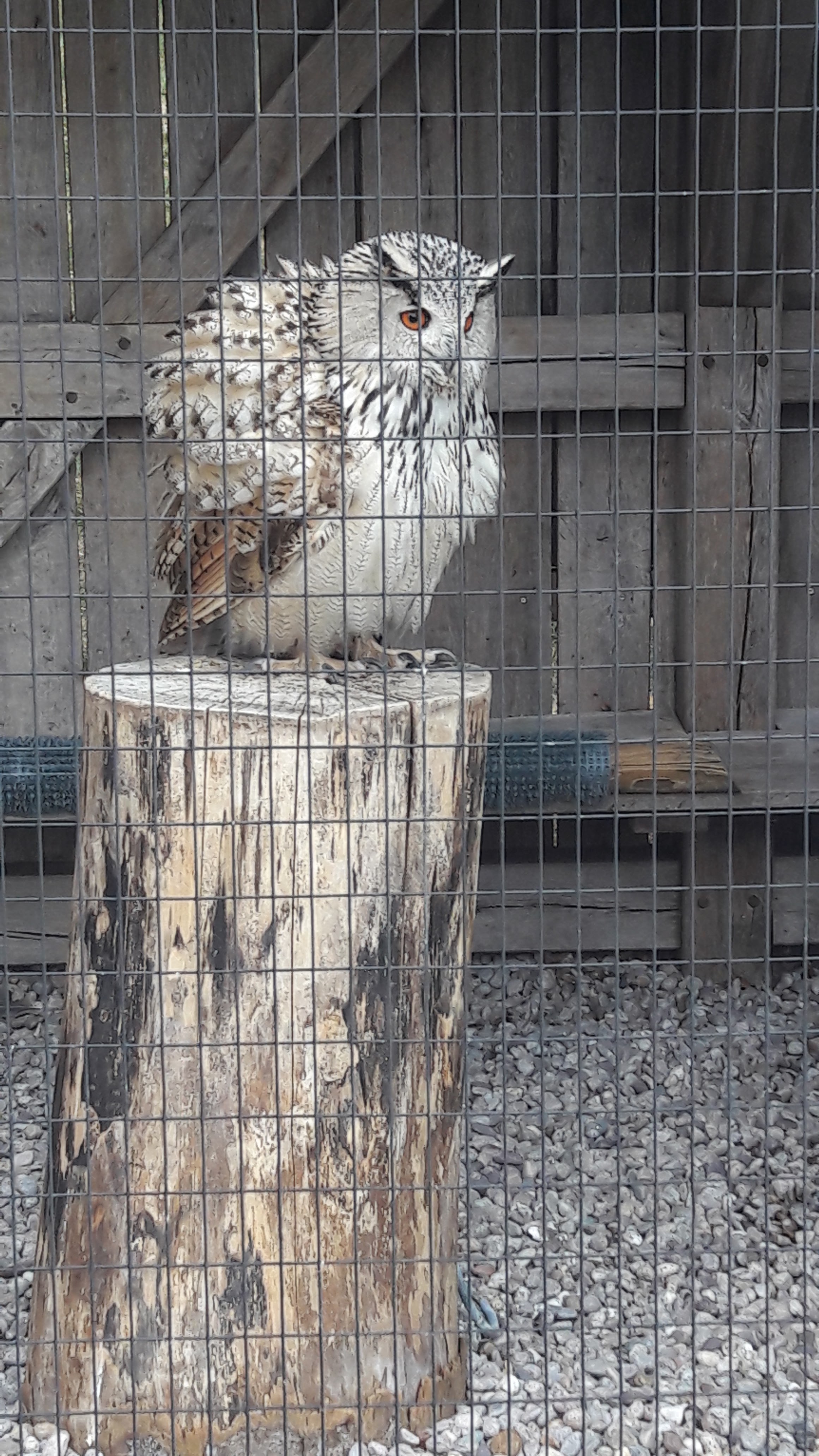 Photo n° 3 de l'avis de Lise.e fait le 14/07/2018 à 16:26