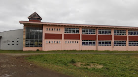 Escuela Vicente Perez Rosales