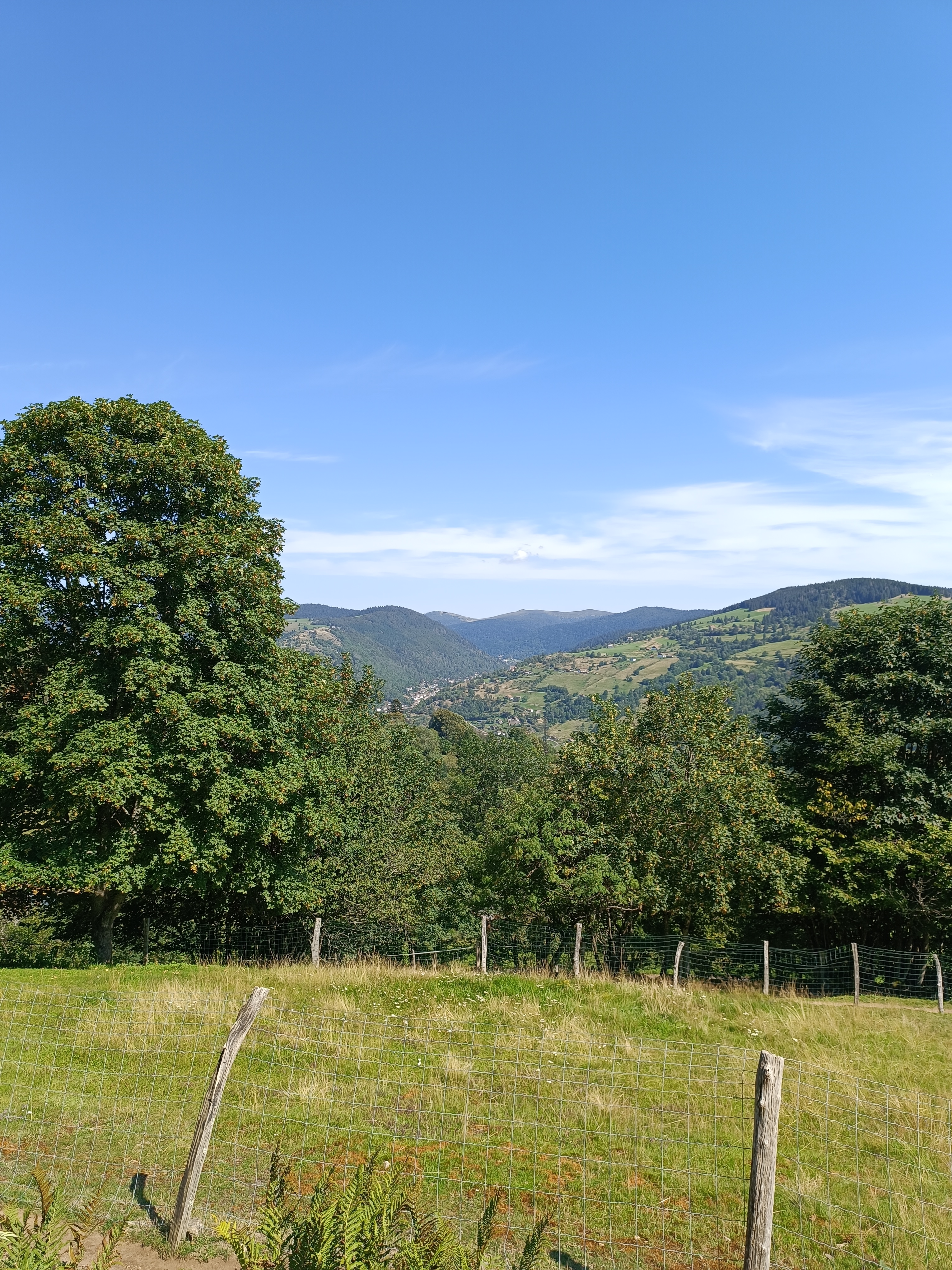 Photo n° 7 de l'avis de Jérôme.u fait le 20/08/2023 à 20:57
