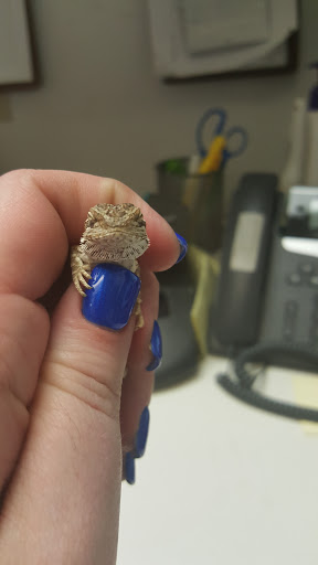 Pet Supply Store «Petco Animal Supplies», reviews and photos, 3790 Burbank Rd, Wooster, OH 44691, USA