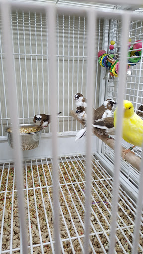 Pet Supply Store «Pet Supplies Plus», reviews and photos, 135-25 79th St, Howard Beach, NY 11414, USA