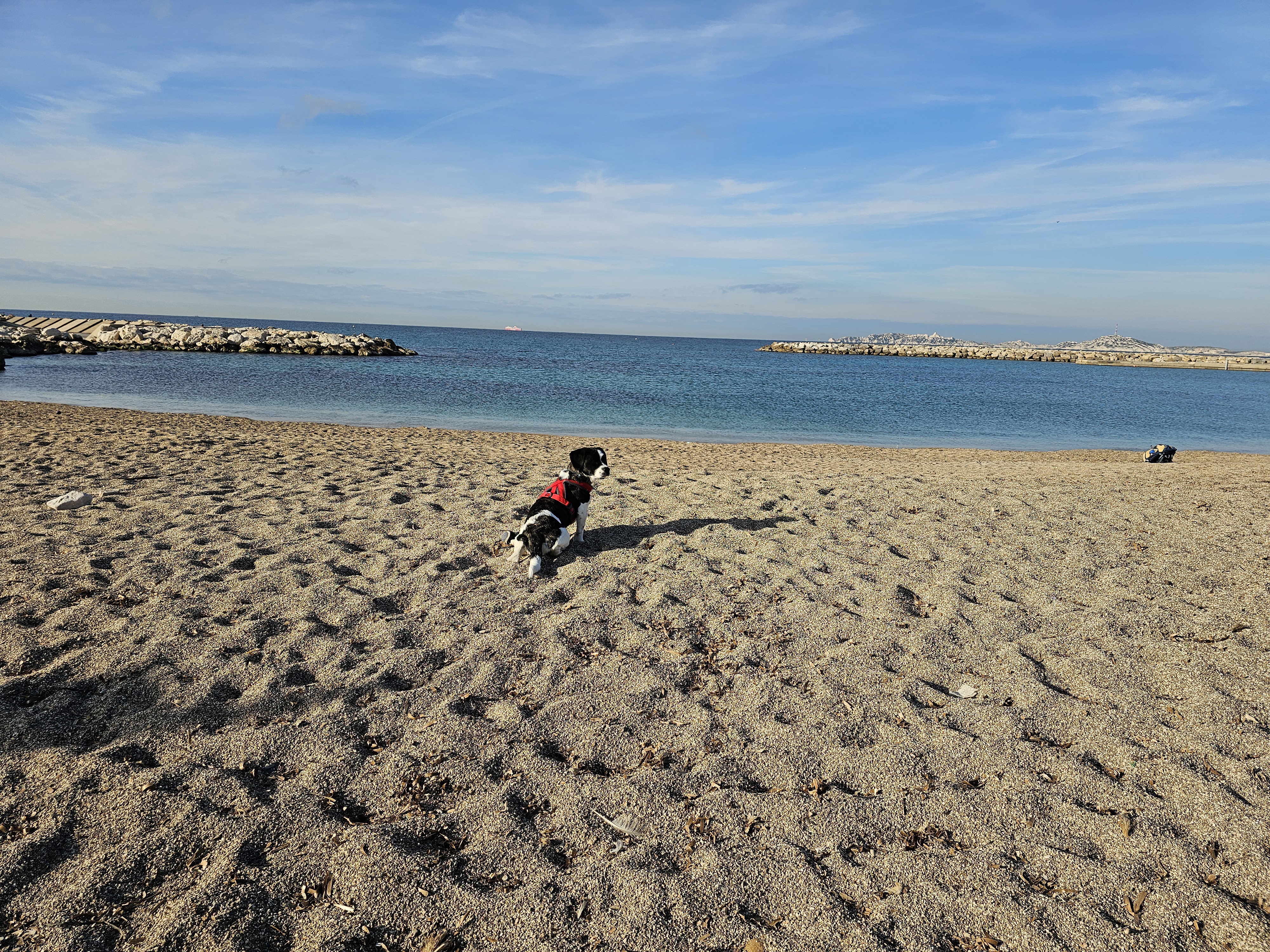 Photo n° 2 de l'avis de David.A fait le 05/02/2024 à 16:56