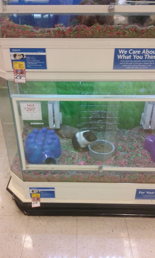 Pet Supply Store «PetSmart», reviews and photos, 1321 W Craig Rd, North Las Vegas, NV 89032, USA