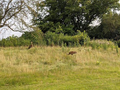Golf Club «Odana Hills Golf Course», reviews and photos, 4635 Odana Rd, Madison, WI 53711, USA