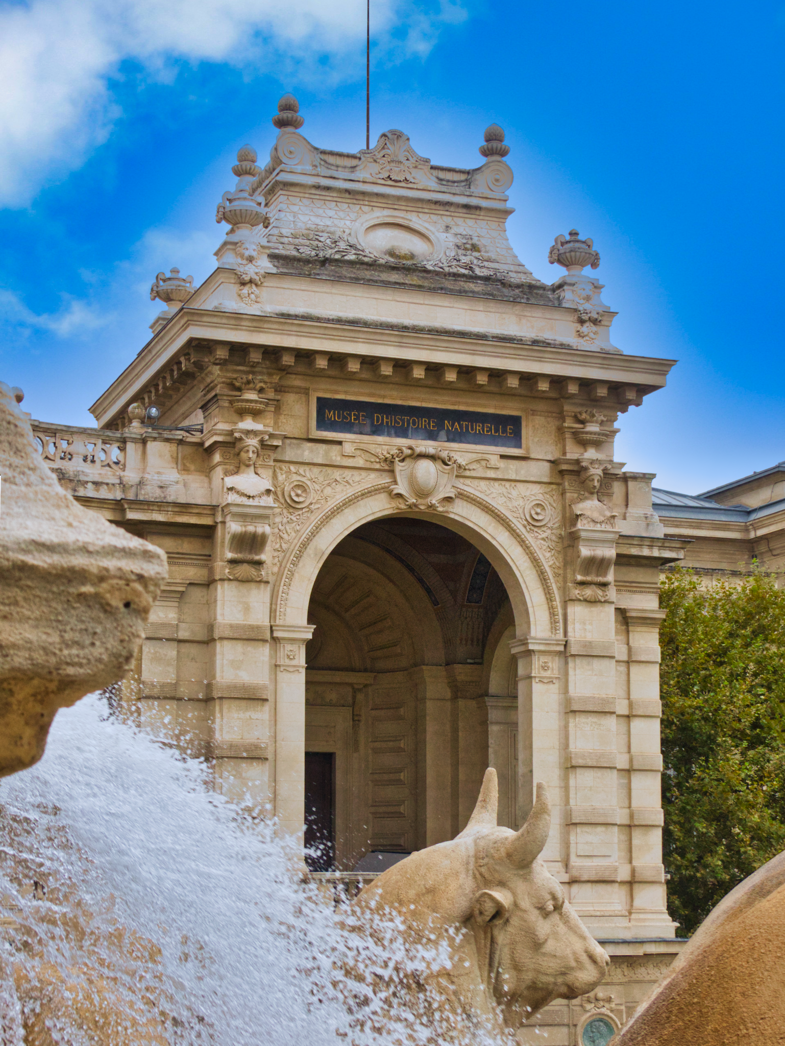 Photo n° 24 de l'avis de Titi.a fait le 04/07/2017 à 22:26