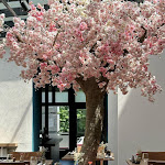 Photo n°1 de l'avis de Paul.e fait le 10/06/2023 à 00:00 sur le  AKENO Ludwigsburg à Ludwigsburg