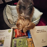 Photo n°43 de l'avis de Mila.a fait le 18/01/2024 à 13:50 sur le  Pestana Porto - A Brasileira à Porto