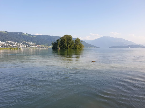 Choller Zug nudist Beach