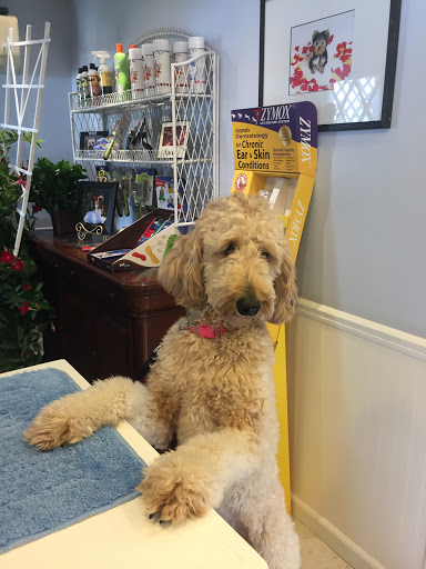 Wheeler's Pet Grooming