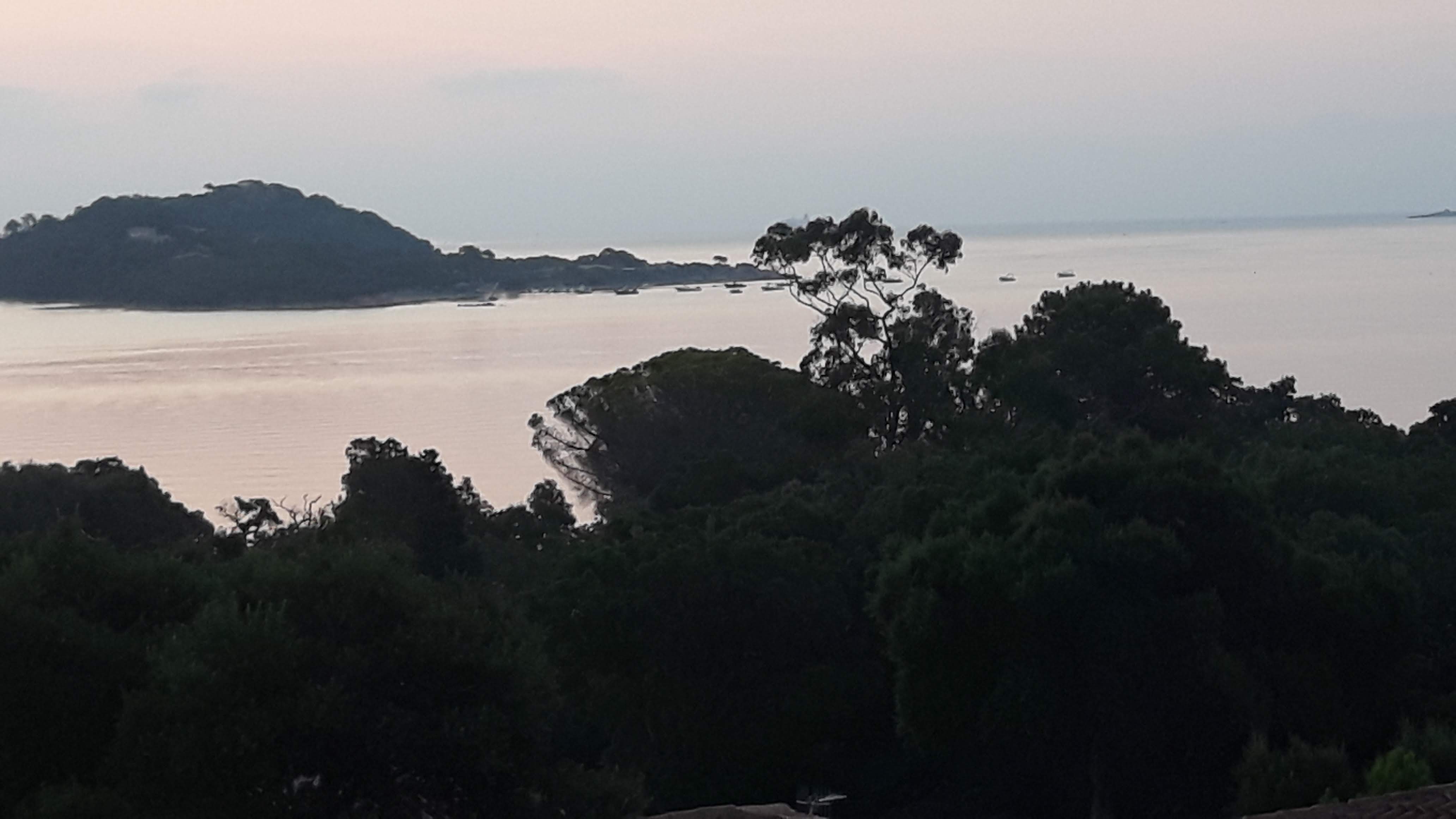 Photo n° 10 de l'avis de Bartolo.a fait le 07/08/2018 à 23:34