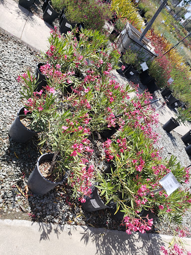 Terra Bella Nursery, Inc. image