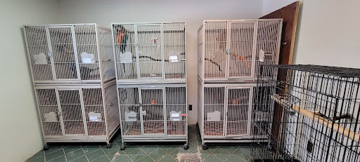 Bird Shop «Paterson Bird Store», reviews and photos, 13 Furler St # 1, Totowa, NJ 07512, USA