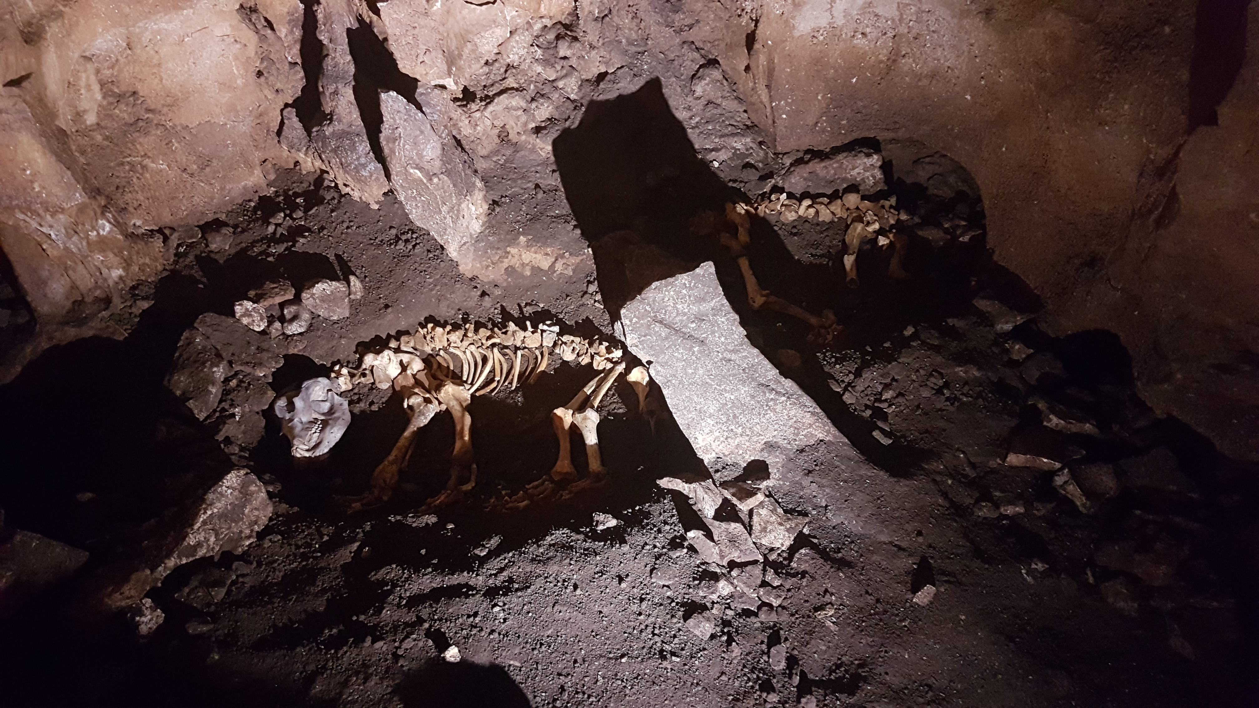 Photo n° 2 de l'avis de Benjamin.r fait le 16/08/2020 à 17:21