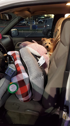 Pet Supply Store «PetSmart», reviews and photos, 3501 Catclaw Dr, Abilene, TX 79606, USA