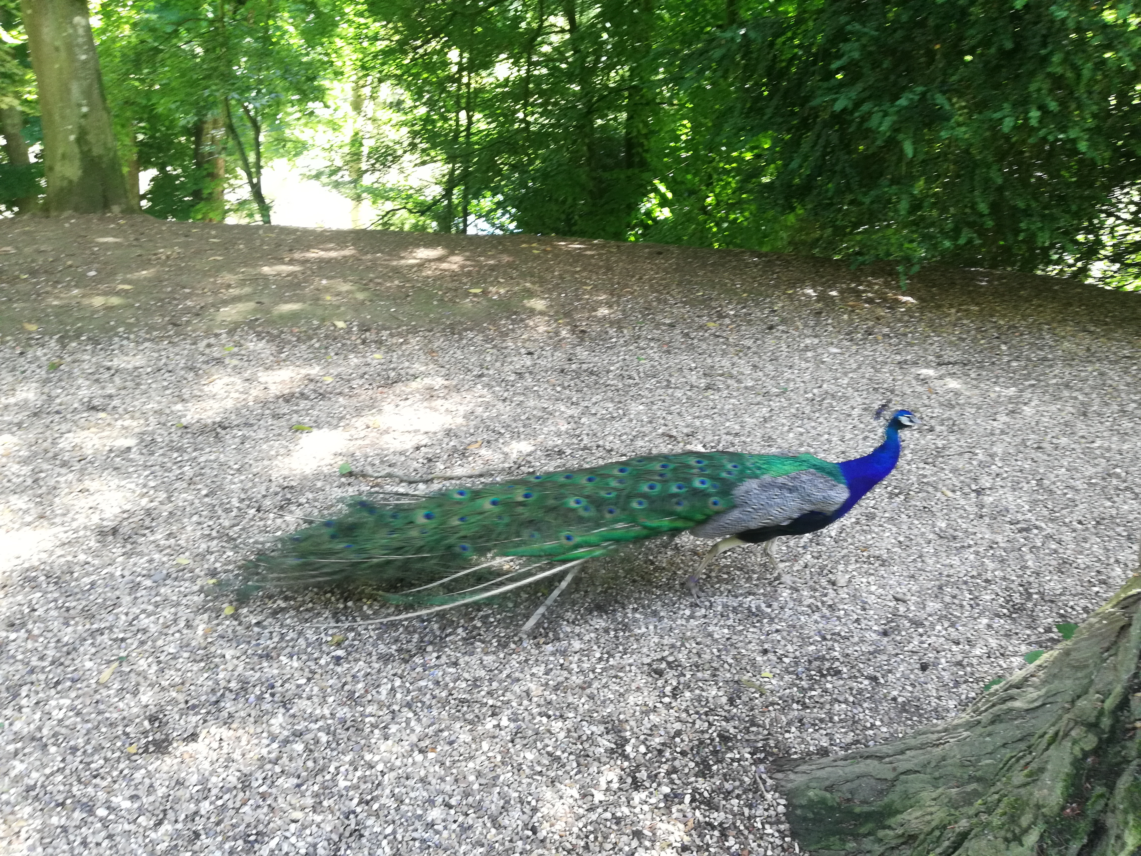 Photo n° 1 de l'avis de Marion.o fait le 01/08/2020 à 14:33