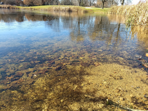 Nature Preserve «Lakewood Forest Preserve», reviews and photos, 27277 N Forest Preserve Rd, Wauconda, IL 60084, USA