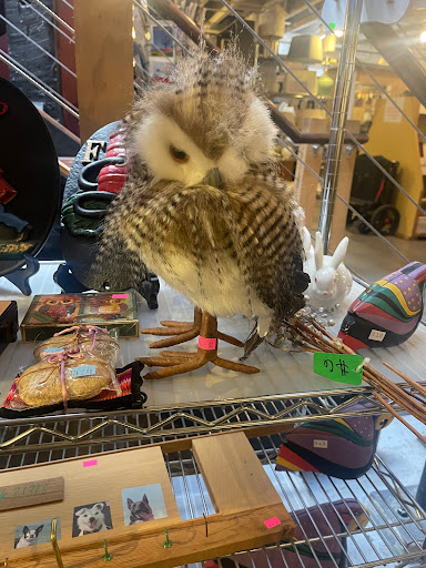 Thrift Store «Lifelong Thrift store», reviews and photos, 312 Broadway E, Seattle, WA 98102, USA