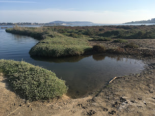 Photo n°1 de Intermer à Bouzigues ()