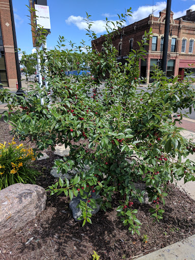 Wine Bar «Wine Guyz», reviews and photos, 122 King St, La Crosse, WI 54601, USA