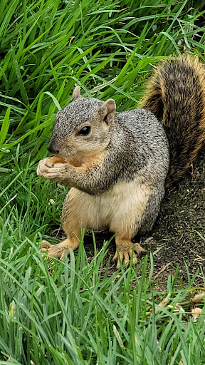 Public Golf Course «Westchester Golf Course», reviews and photos, 6900 W Manchester Ave, Los Angeles, CA 90045, USA