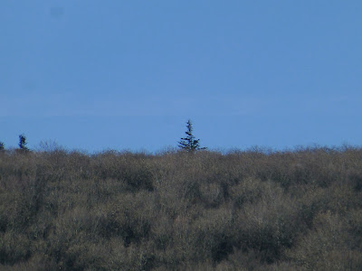 Les Pradelles à Cuxac-Cabardès