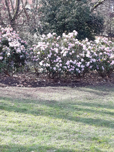 Park «Volunteer Park», reviews and photos, 1247 15th Ave E, Seattle, WA 98112, USA