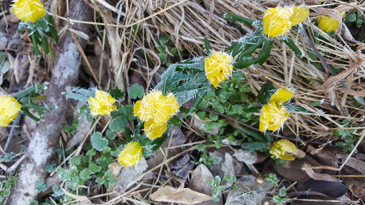 Park «Patawomeck Park», reviews and photos, 25 Chopawamsic Pkwy, Stafford, VA 22554, USA