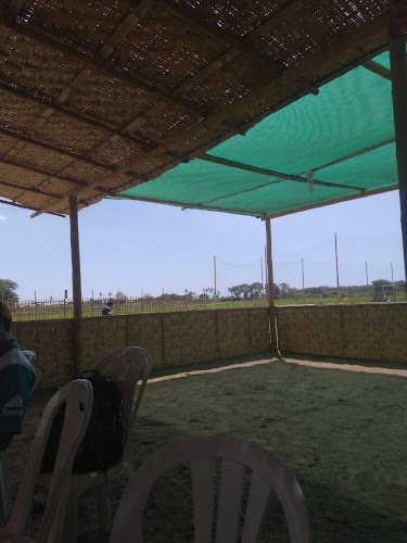 Lobito restaurant - La Unión