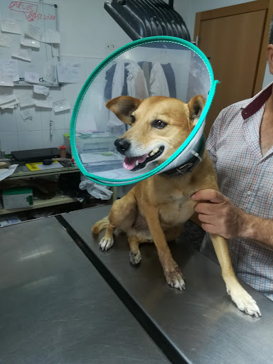 Santa Fe Clínica Veterinaria en Santa Fe