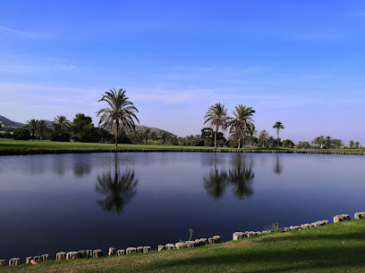 Campo de cricket