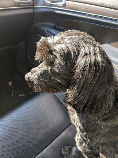 Pet Supply Store «PetSmart», reviews and photos, 2865 Oak Valley Dr, Ann Arbor, MI 48103, USA