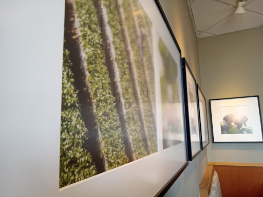 Panera Bread image