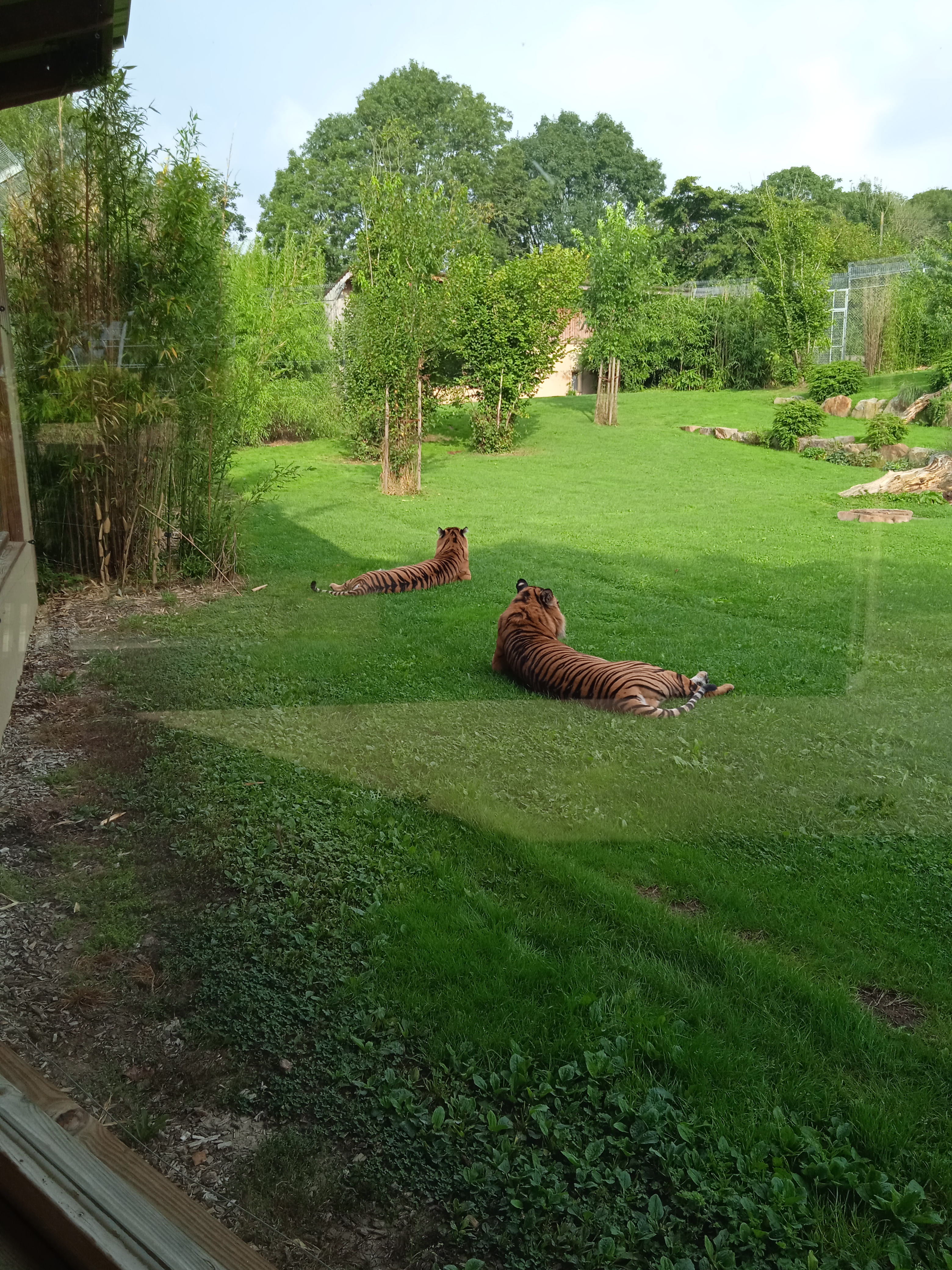 Photo n° 1 de l'avis de Sylvain.o fait le 16/09/2021 à 21:03
