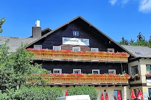 Alpengasthof Postl image