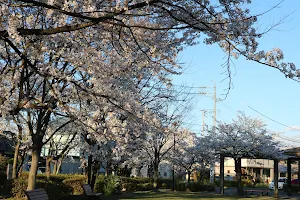 Tatsumi Park image