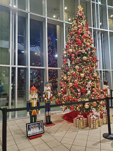 Performing Arts Theater «Times Union Center for the Performing Arts», reviews and photos, 300 Water St, Jacksonville, FL 32202, USA