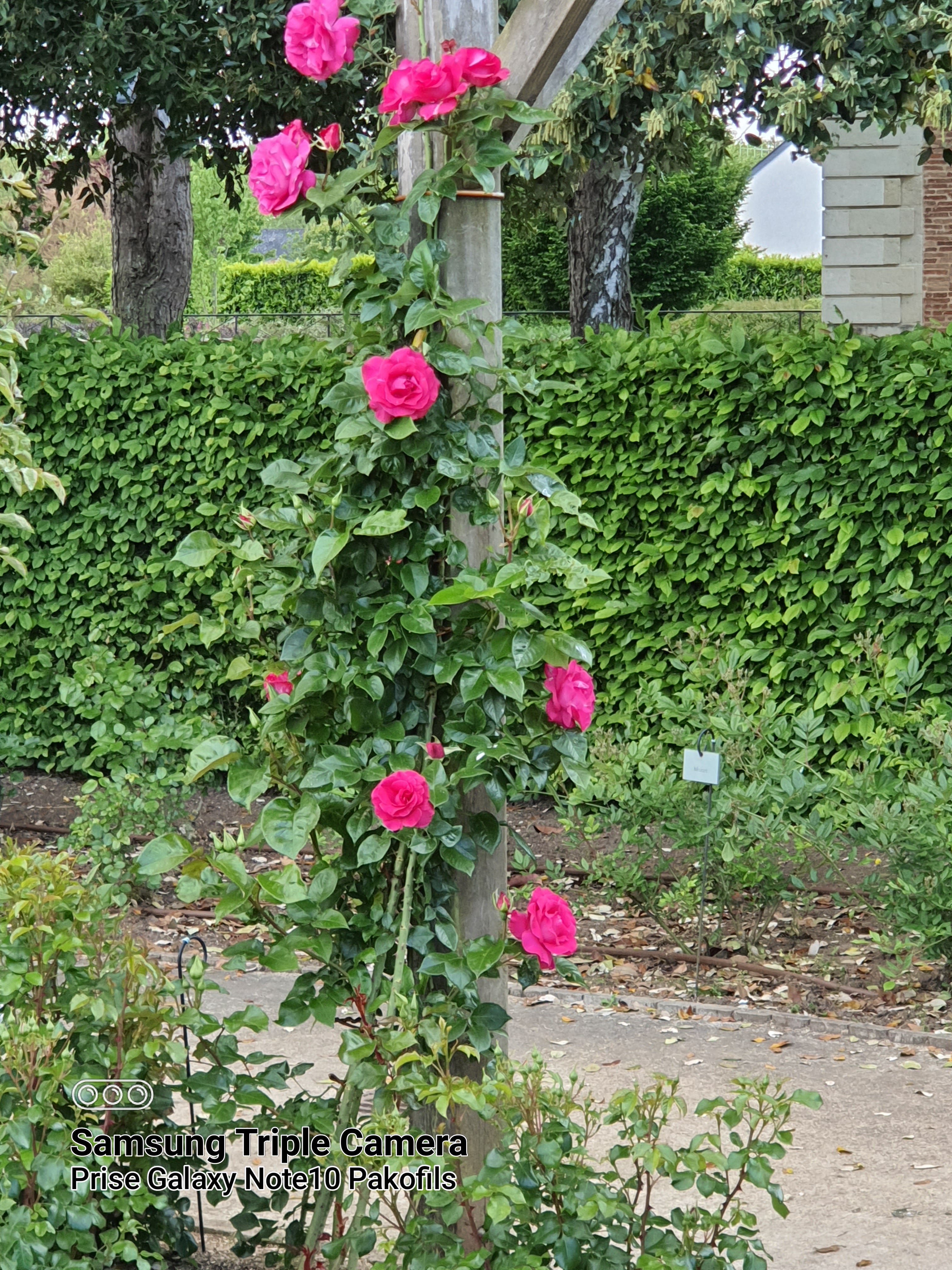 Photo n° 19 de l'avis de Pascal.e fait le 23/05/2021 à 14:28