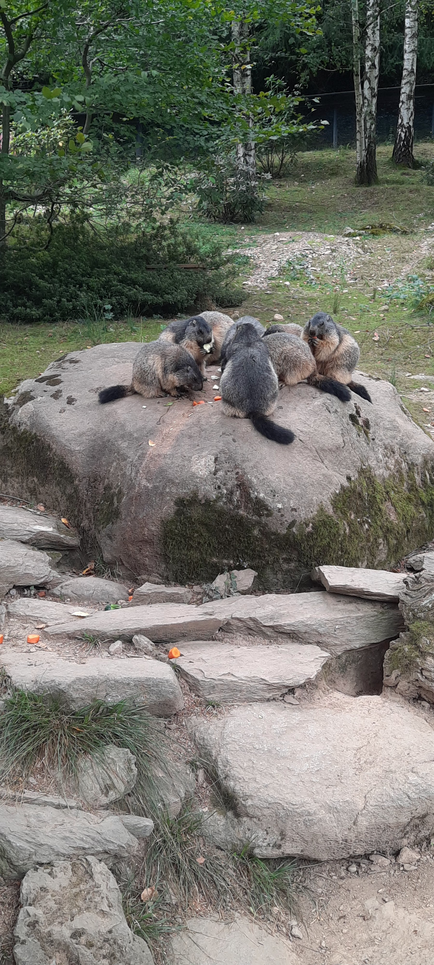 Photo n° 3 de l'avis de Magali.i fait le 17/08/2023 à 19:40