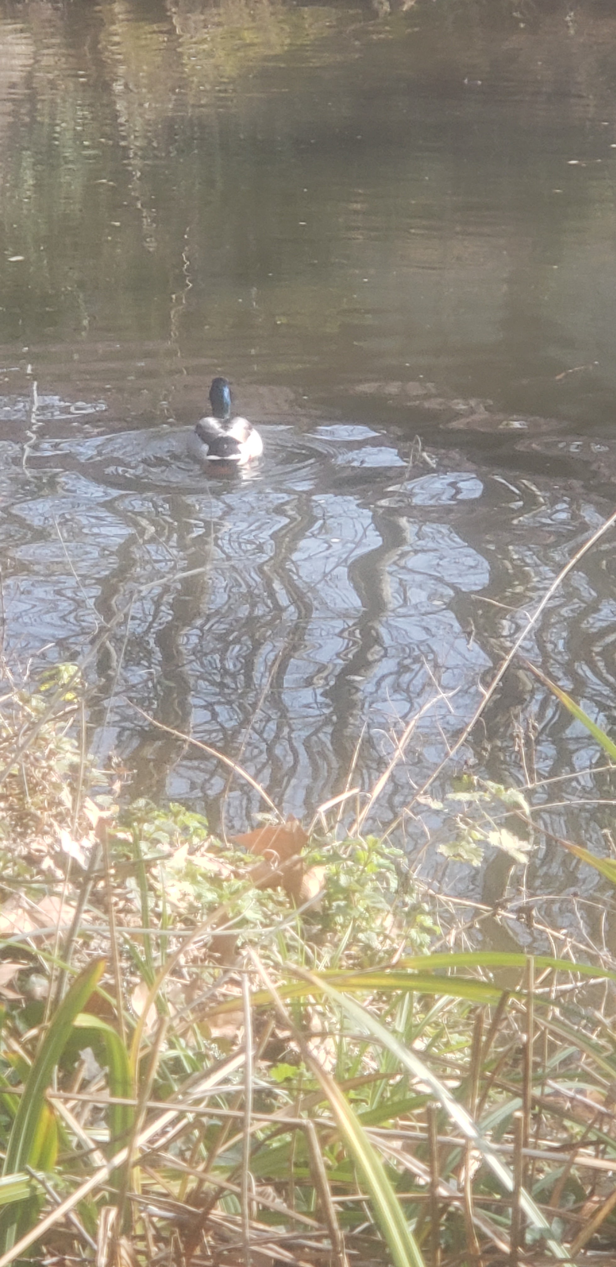 Photo n° 3 de l'avis de Nadia.h fait le 05/03/2023 à 20:38