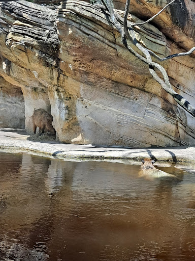Laundromat «The Laundry Room», reviews and photos, 405 Anastasia Blvd, St Augustine, FL 32080, USA