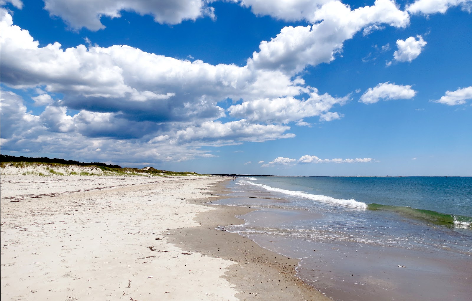 Fotografija Horseneck Beach II z svetel pesek površino