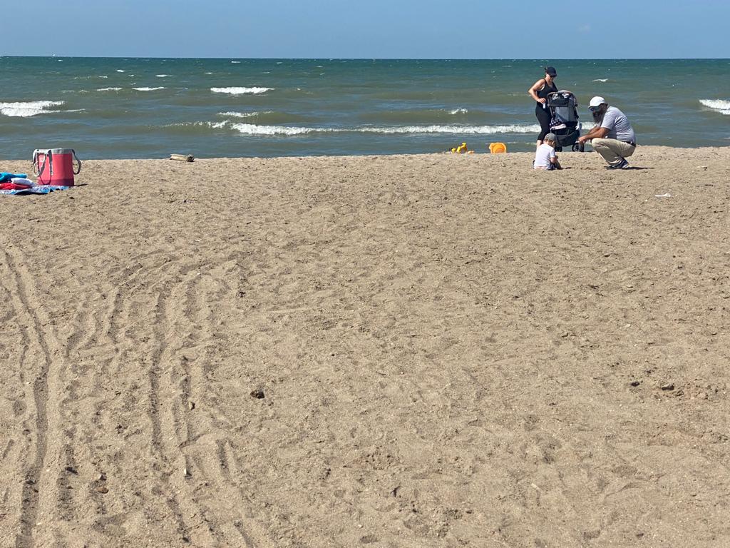 Foto av Seacliff beach med hög nivå av renlighet