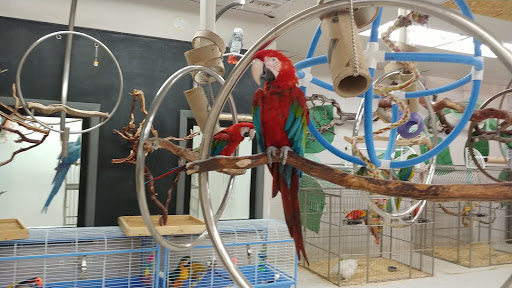 Bird Shop «Arizona Bird Store», reviews and photos, 565 S Dobson Rd, Mesa, AZ 85202, USA