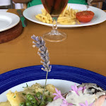 Photo n°8 de l'avis de Patricija.e fait le 24/04/2024 à 13:10 sur le  Hapimag Resort Albufeira à Albufeira