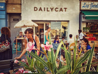 Photos du propriétaire du Restaurant Dailycat à Marseille - n°1