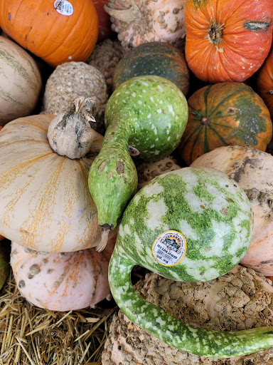 Home Improvement Store «The Home Depot», reviews and photos, 3838 Hollis Avenue, Emeryville, CA 94608, USA