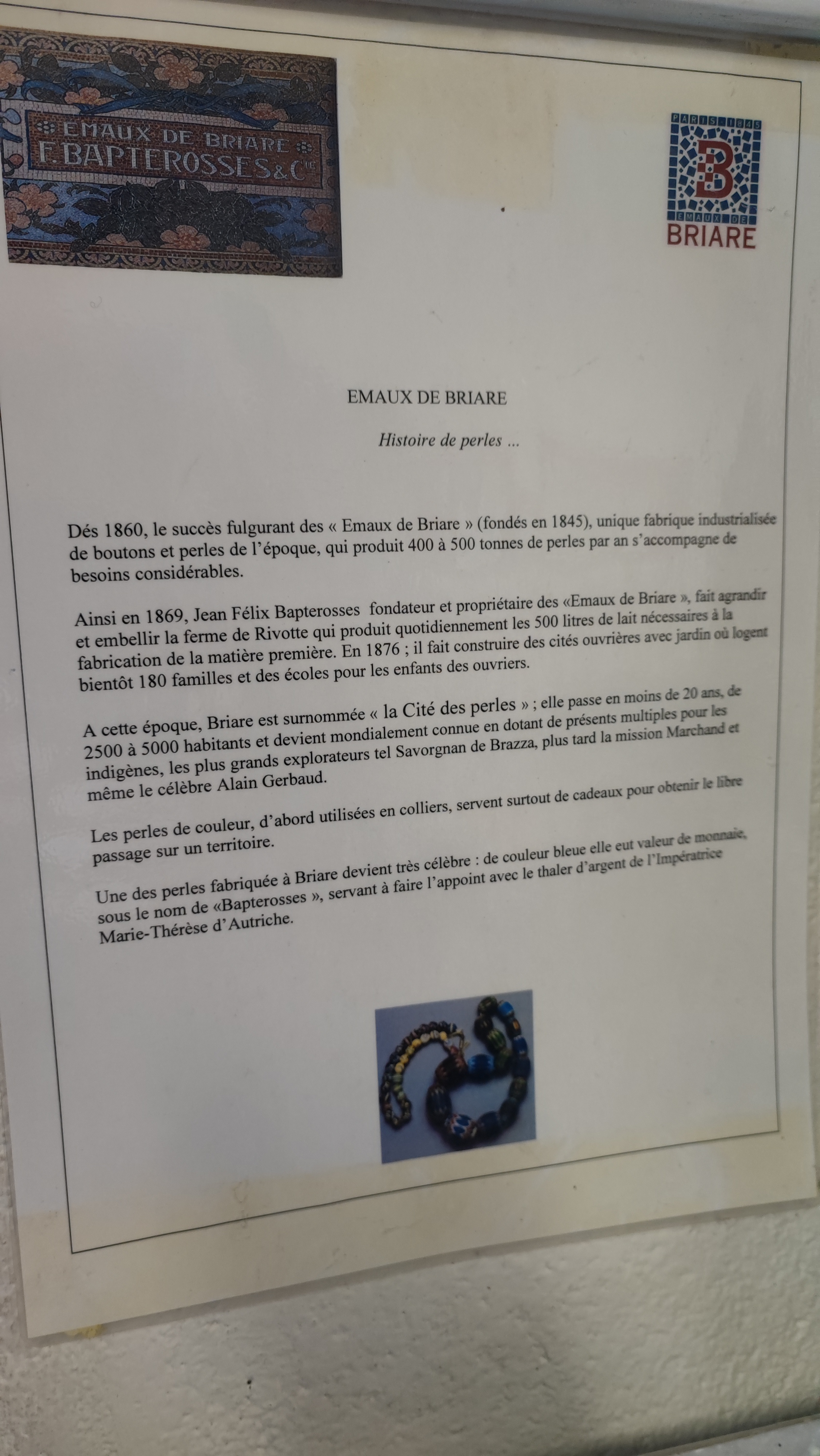 Photo n° 4 de l'avis de Mulgon.e fait le 04/11/2022 à 14:53