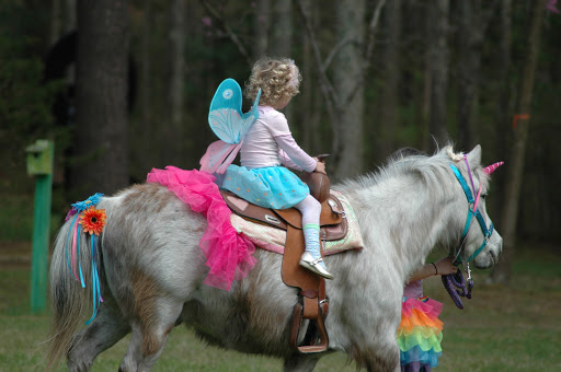 Art Center «Annmarie Sculpture Garden and Arts Center», reviews and photos, 13480 Dowell Rd, Dowell, MD 20629, USA