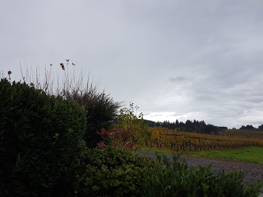 Winery «Erath Winery», reviews and photos, 9409 Northeast Worden Hill Road, Dundee, OR 97115, USA