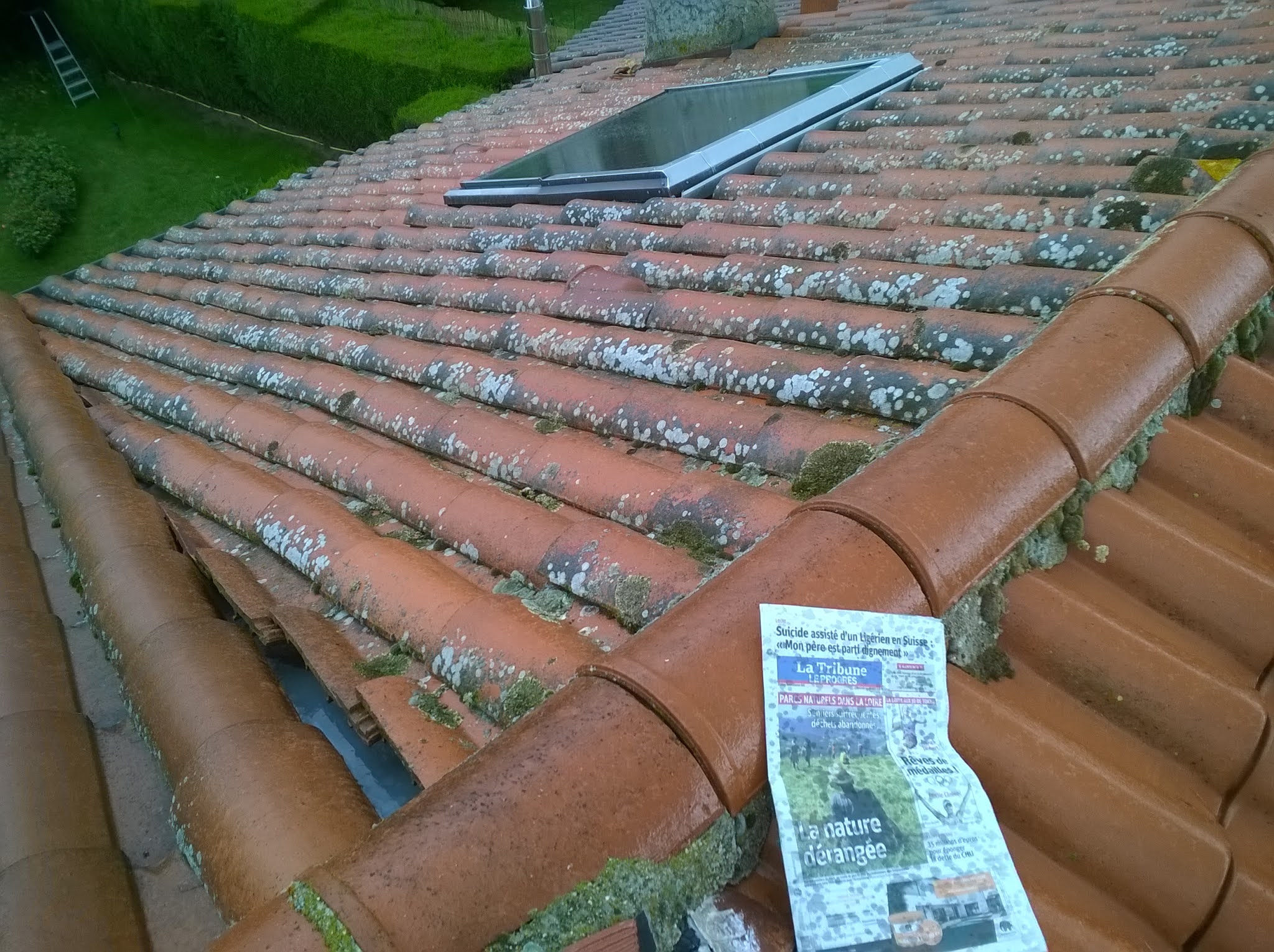 Photo n° 3 de l'avis de R.H fait le 03/08/2021 à 14:00